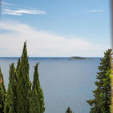 Apartments Villa Silvana Mlini Εξωτερικό φωτογραφία
