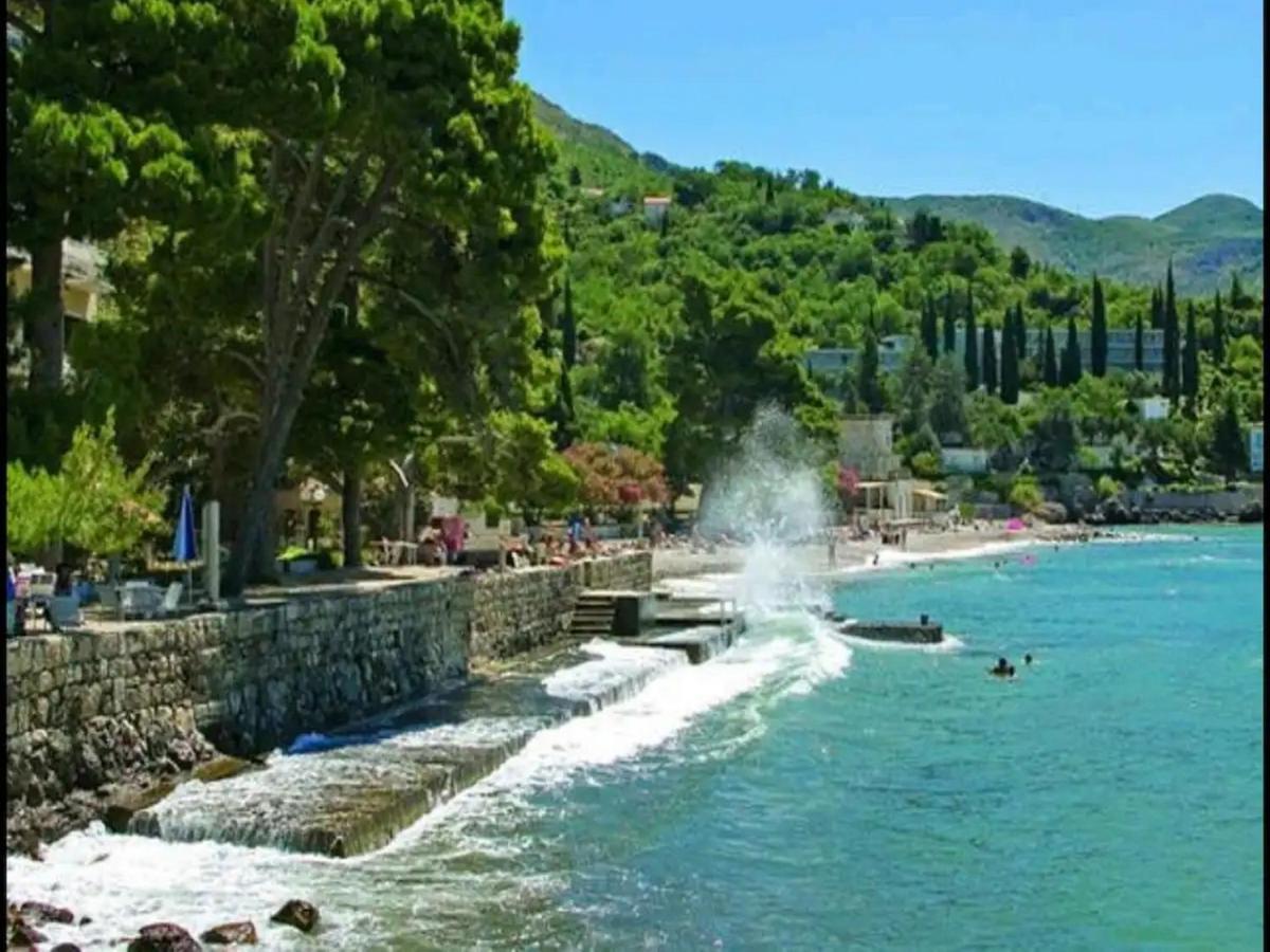 Apartments Villa Silvana Mlini Δωμάτιο φωτογραφία